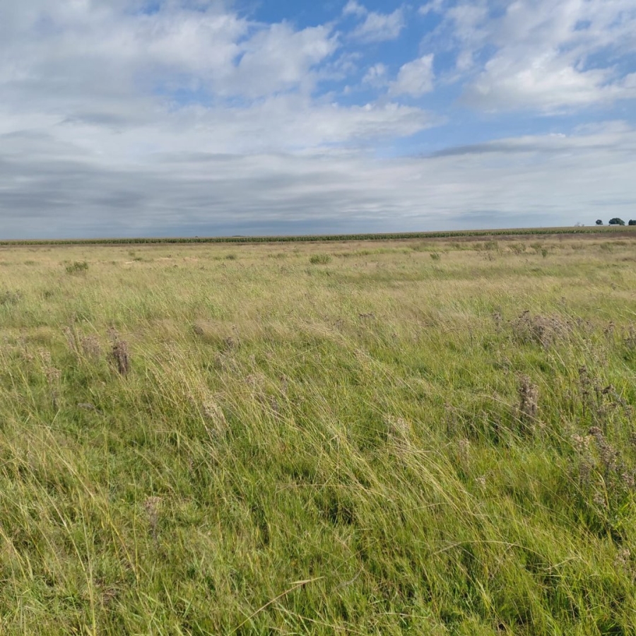 Commercial Property for Sale in Bainsvlei Free State